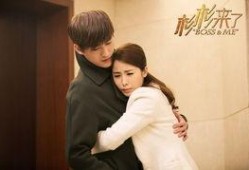 电视剧杉杉来了在线观看,甜蜜爱情与职场奋斗的完美交织