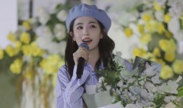 白鹿爆料外号大全最新版,最新版趣味盘点，揭秘网络红人昵称背后的故事