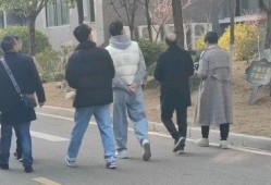 礼县网红吃瓜事件,揭秘网络舆论背后的真相与反思